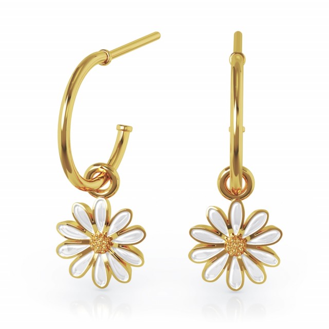 Kreoler med Hvit prestekrage