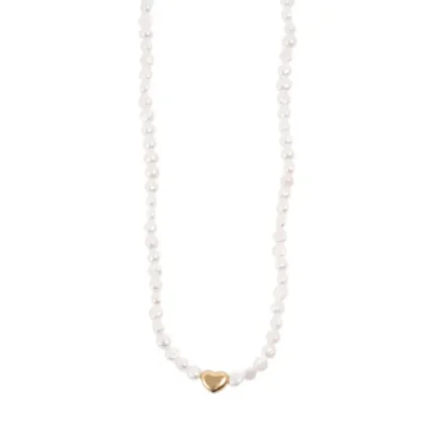 Kort kjede, Lovebirds, Tone Damli