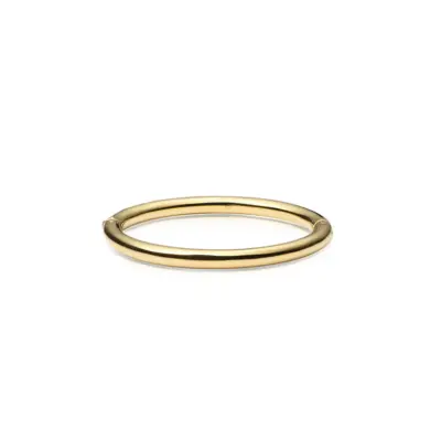 Aura Bold Gold Bangle