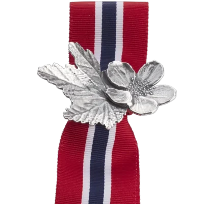 Finnmarkssløyfa-pin 2-i-1 molteblom